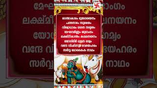 ഗുരുവായൂർ ഏകാദശി നാളിൽ ജപിക്കേണ്ട മന്ത്രം  Vishnu Stotram  Guruvayur Ekadashi  shortfeed status [upl. by Mat455]