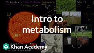 Introduction to metabolism anabolism and catabolism  Khan Academy [upl. by Lek]