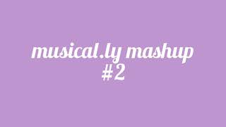 Musically Mashup 2 [upl. by Ademla]