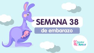 Semana 38 de embarazo [upl. by Aloz390]