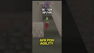 AFK Agility Methods OSRS [upl. by Ladnyc374]