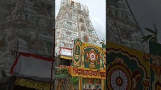 kallai mattum kandal songthirupathi thirupathivlogperumaltemple brahmotsavam 2024 [upl. by Forcier890]