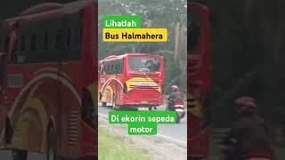 Bus Halmaheraautomobile shorts short bushalmahera [upl. by Erikson662]