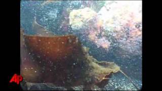 Raw Video 1800s Shipwreck Found Off RI Coast [upl. by Nnylhsa]