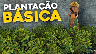 ✅PASSO A PASSO Como fazer PLANTAÇÃO BÁSICA no Rust 2022 [upl. by Bennie]