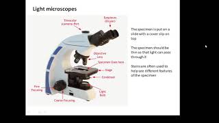 BTEC Applied Science Unit 1 Biology Microscopes [upl. by Namaan603]