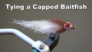 Capped Baitfish  UNDERWATER FOOTAGE  McFly Angler Fly Tying Tutorial [upl. by Rockafellow]