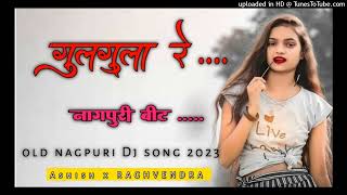 New Nagpuri song Gulgula re Studio mix 2023 Dj Raghvendra Rajpur [upl. by Ecirtap]