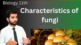 characteristics of Fungi class 11 biology MDCat  lecture 2  chapter 8 [upl. by Sylera]