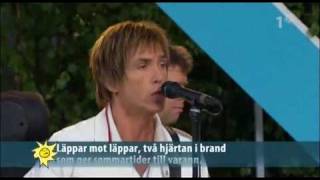 Per Gessle Sommartider Live Allsång på Skansen [upl. by Grosberg590]