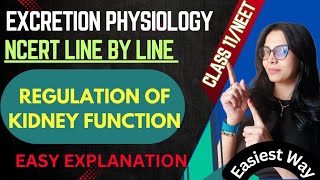 Regulation of kidney function Class 11 biology NEET [upl. by Gnak812]