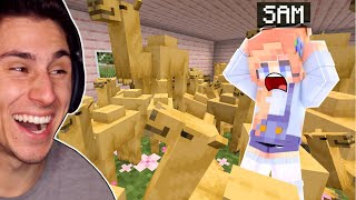 I Put 100 CAMELS In Her House  Minecraft [upl. by Etteniotnna]