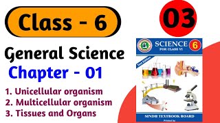 Unicellular and Multicellular organisms  Tissue And Organs class 6 science chapter 1 sindh board [upl. by Nevur]