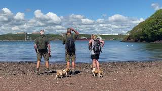 Angle to Pwllcrochan on the Pembrokeshire Coast in Wales  May 2024 [upl. by Koziel315]