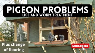 I have racing pigeon problems LICE HTTYP Ep 8 [upl. by Ecirtahs]