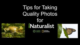 Tips for Taking Quality Photos for iNaturalist [upl. by Medin]