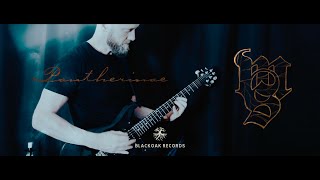 Markus Sigfridsson  Pantherinae OFFICIAL VIDEO prsguitars instrumentalguitar plini swola [upl. by Noxid836]