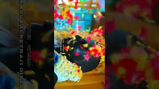 full screen 🔰Devar Jayanthi whatsapp status video Tamil 💥🙏🔥 [upl. by Libbey916]