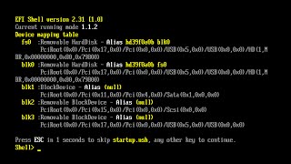 How to Install a 3tb or Larger HDD through EFI Shell UEFI method [upl. by Leber]