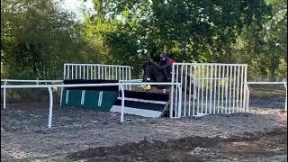 Varinia schooling with Charlie Hammond [upl. by Ivatts590]