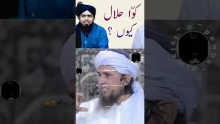 Kawwa halal kyun 👌 jabardast mufti sahab ka jawab muftitariqmasod molanatariqjameel shortsviral [upl. by Naamana]