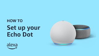 How to Set Up Echo Dot [upl. by Zile]