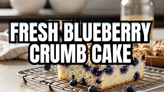 Blueberry Crumb Cake Easy 9x13 Pan Recipe For Summer [upl. by Kreis]