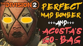 PERFECT MAD BOMBER The Division 2 Grenade Build 20 [upl. by Idnym]