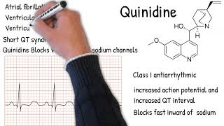 Quinidine uses and side effects  Explained simply quinidine ecg [upl. by Yrffej]