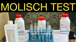 Molisch Test Test For Carbohydrate’s  Test for Glucose Starch Sucrose [upl. by Amethist586]