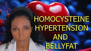 HOMOCYSTEINE HYPERTENSION AND BELLYFAT [upl. by Tuppeny]