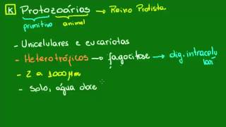 Características gerais dos Protozoários  Diversidade dos Seres Vivos  Biologia [upl. by Lenrow579]