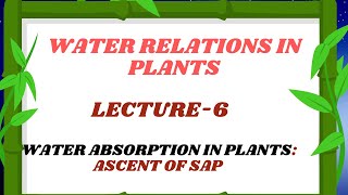 LECTURE 6 ASCENT OF SAP  Theories of ascent of sap BSB111 CROP PHYSIOLOGY   BSc [upl. by Nnaecarg]