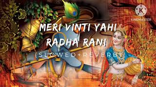 Meri Vinti Yahi Ha Radha Rani Slowed  Reverb By chitra Vichitra ji [upl. by Nwahsyd]