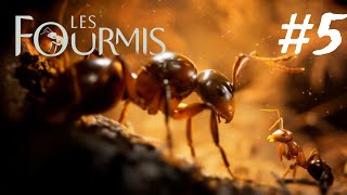 On prend du terrain   Les Fourmis 5 [upl. by Pinette]