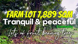 EXTV009 Alfonso cavite farm lot 7889 sqm with fruit bearing trees • tranquil amp peaceful community [upl. by Jessika]