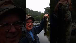 GIANT Bartrams Bass from the Chattooga River shorts blackbass blackbassfishing bassfishing [upl. by Leodora]