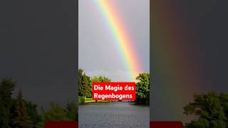 🌈 Die Magie des Regenbogens erklärt  Physik für Kinder Shorts Regenbogen [upl. by Eatnuahc79]