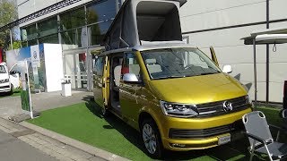 2019 Volkswagen California 30 Years  Exterior and Interior  IAA Hannover 2018 [upl. by Rehpotsirhcnhoj482]