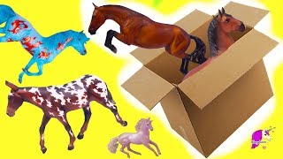 Box of New Horses  Traditional Club Freedom Series Breyer Horse Haul Video [upl. by Borroff]