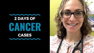 2 days of Cancer Cases mammary and prostate lymphoma osteosarcoma amp a cat with MCT VLOG 36 [upl. by Adierf]