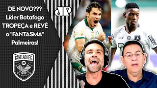 quotÉ PRA FICAR DESESPERADO O Botafogo TÁ AFROUXANDO o Palmeiras foi HEROICO TÁ A 2 PONTOS equot [upl. by Bohlin]