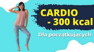 Ciche cardio na stojąco spal ponad 300 kcal Bez podskoków i tupania [upl. by Brunk]