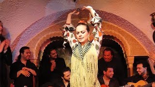 Flamenco Night at Tablao Cordobes in Barcelona Spain [upl. by Naillimxam]