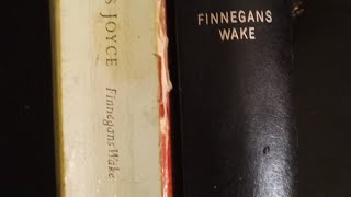 Beware All Finnegans Wakes are Not Alike [upl. by Daraj411]