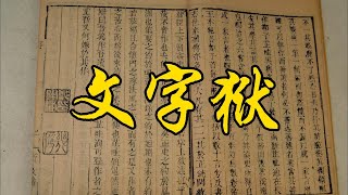 《康熙王朝》第36期：标榜仁义的康熙也搞文字狱？两个文字狱大案的鲜明对比 [upl. by Jos]