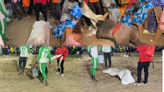 Mythiques Bou Graw de Brosse devant Ndeye Fatou après Remporter la Finale à Mbour 27 Avril 2024 [upl. by Desi]