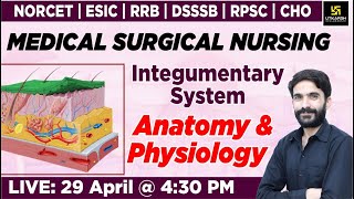 MSN Integumentary System Anatomy amp Physiology  For NORCET  RRB  DSSSB  RPSC  CHO By Raju Sir [upl. by Halford]