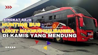 Singkat Saja Hunting Bus Loket Makmur Halmahera [upl. by Merrile]