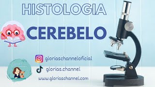 Histología para Medicina Cerebelo [upl. by Riess]